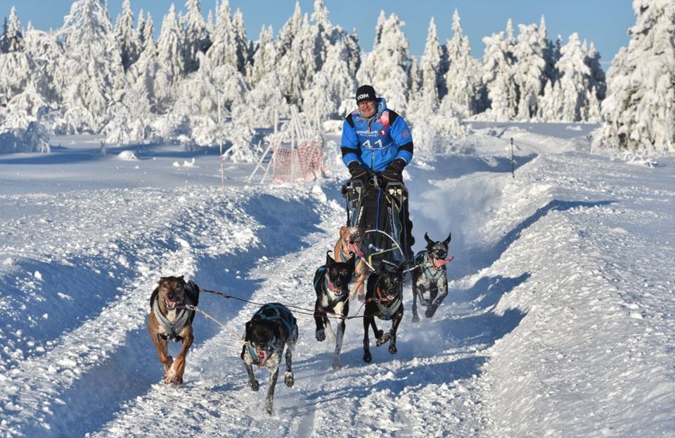 Norgesmester – Herlig innsats